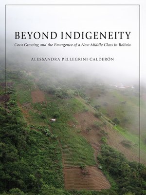 cover image of Beyond Indigeneity